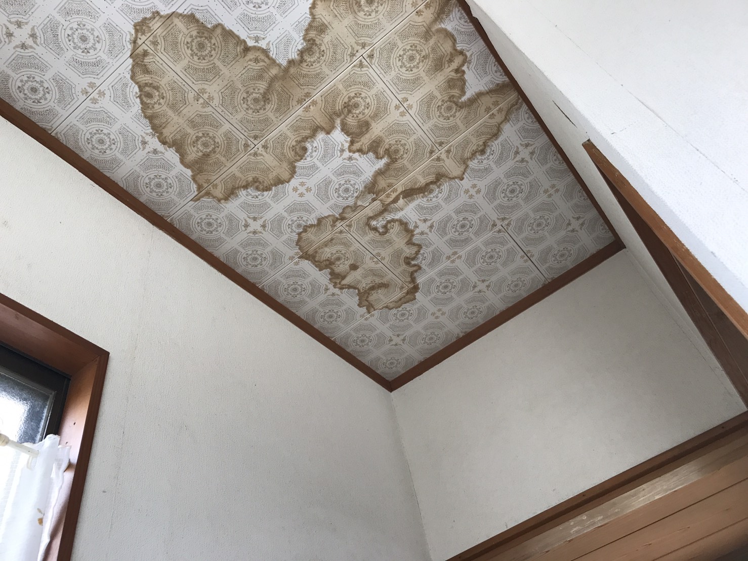 天井にできたシミは雨漏り 放置は危険 シミができる原因と判別方法を解説