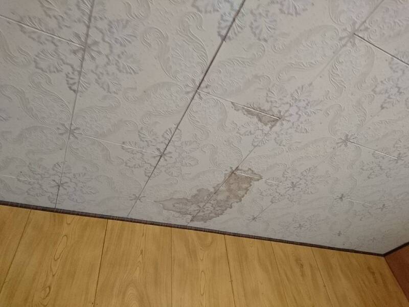 一階　天井　雨漏りシミ