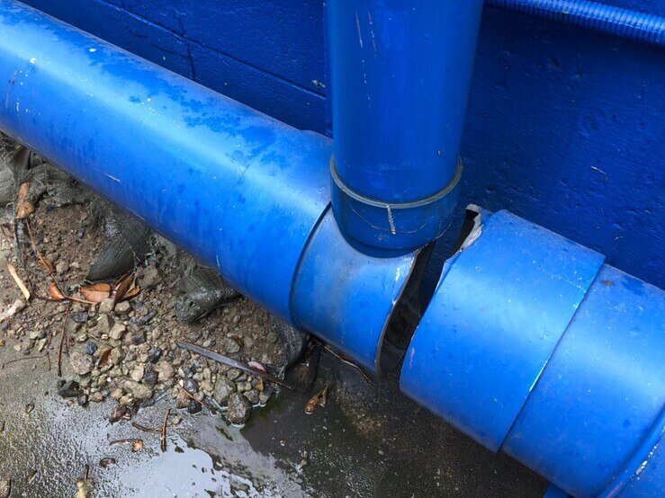 雨漏り修理