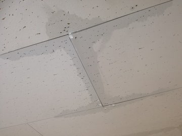 天井の雨染み